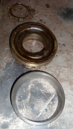 Warford transmission bearings